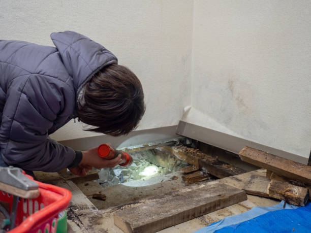 Best Water Damage & Mold Remediation  in Cameron, WI