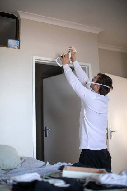 Best Black Mold Removal  in Cameron, WI