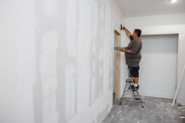 Best Residential Mold Inspection & Testing  in Cameron, WI