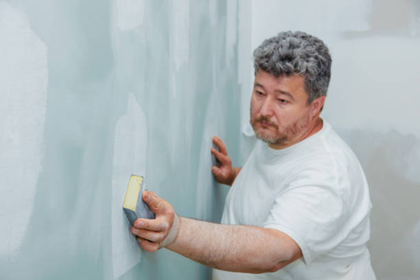 Best Mold Damage Restoration  in Cameron, WI