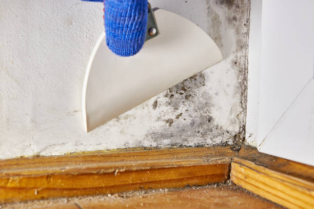 Best Indoor Air Quality Assessment  in Cameron, WI