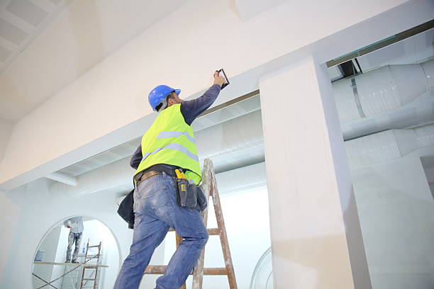 Best Comprehensive Air Testing for Mold Contaminants  in Cameron, WI