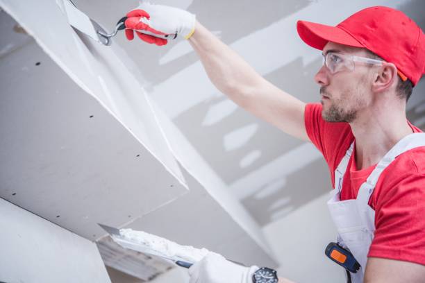 Best Emergency Mold Remediation  in Cameron, WI