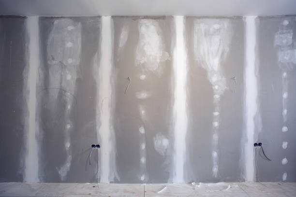 Best Dehumidification Services  in Cameron, WI